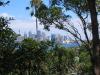 Sydney from the zoo