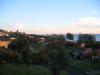 Afternoon to evening