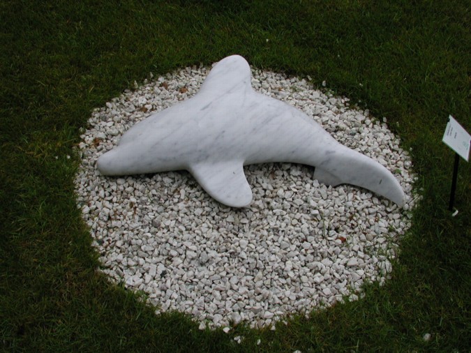 Dolphin