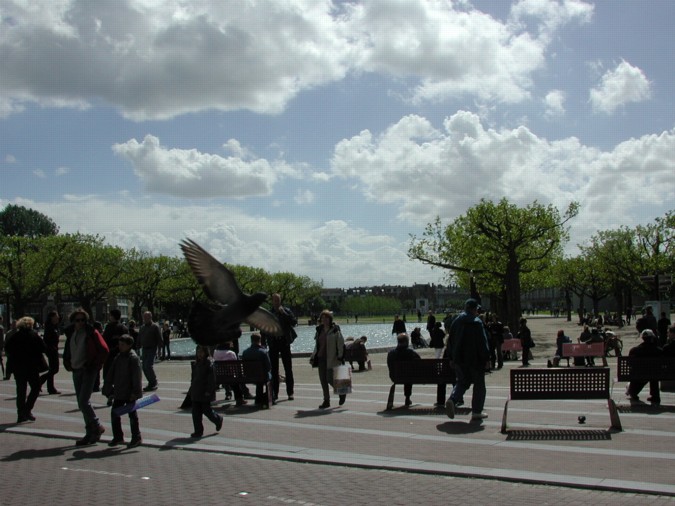 Nice Day on the Museumplein