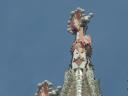 Cathedral of the Holy Family
