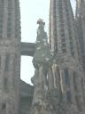 Cathedral of the Holy Family with Christmas Tree
