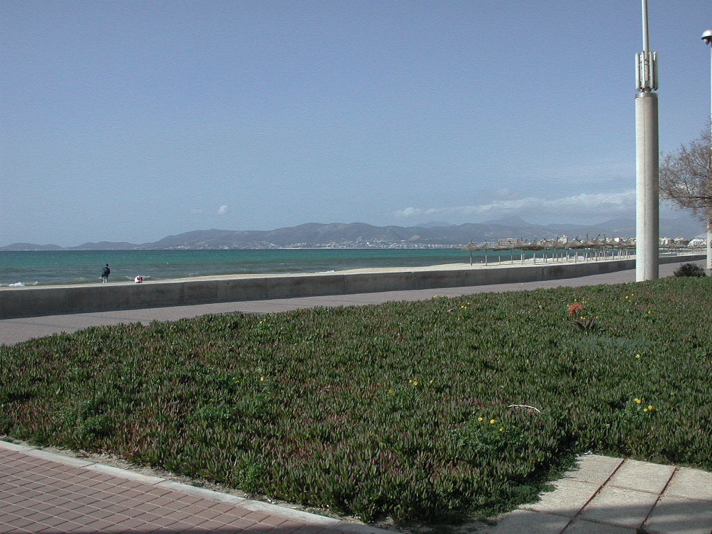 The beach boardwalk