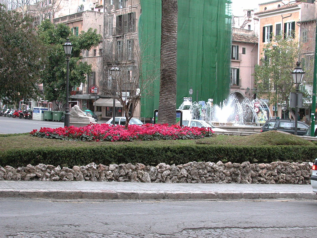 Palma